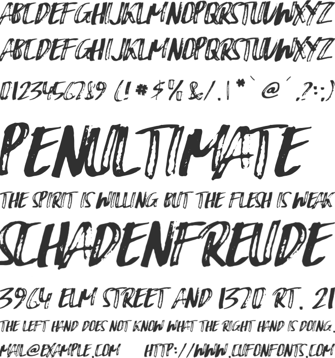 Bruce Brush font preview