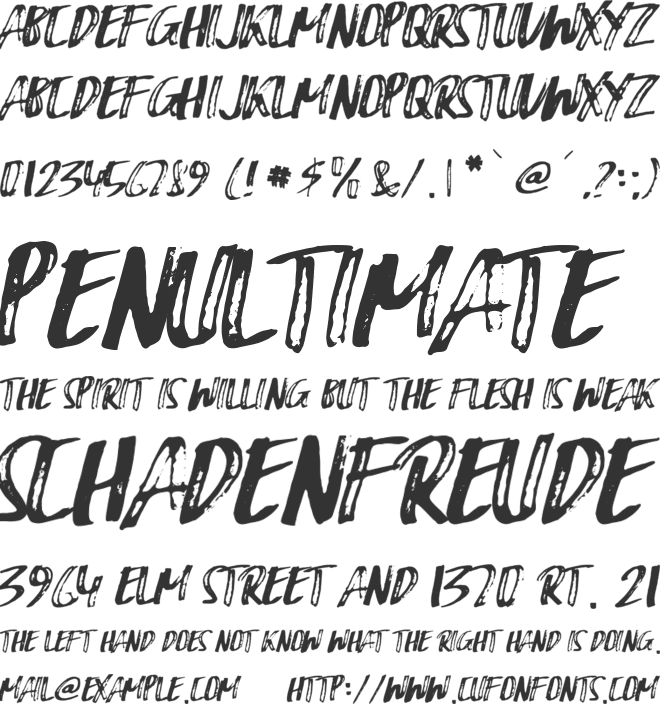 Bruce Brush font preview