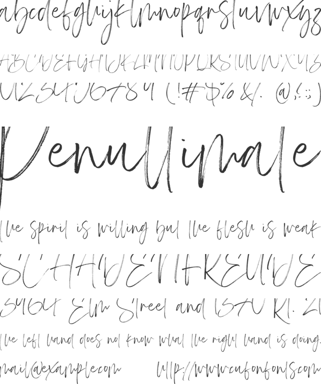 Carlinet font preview