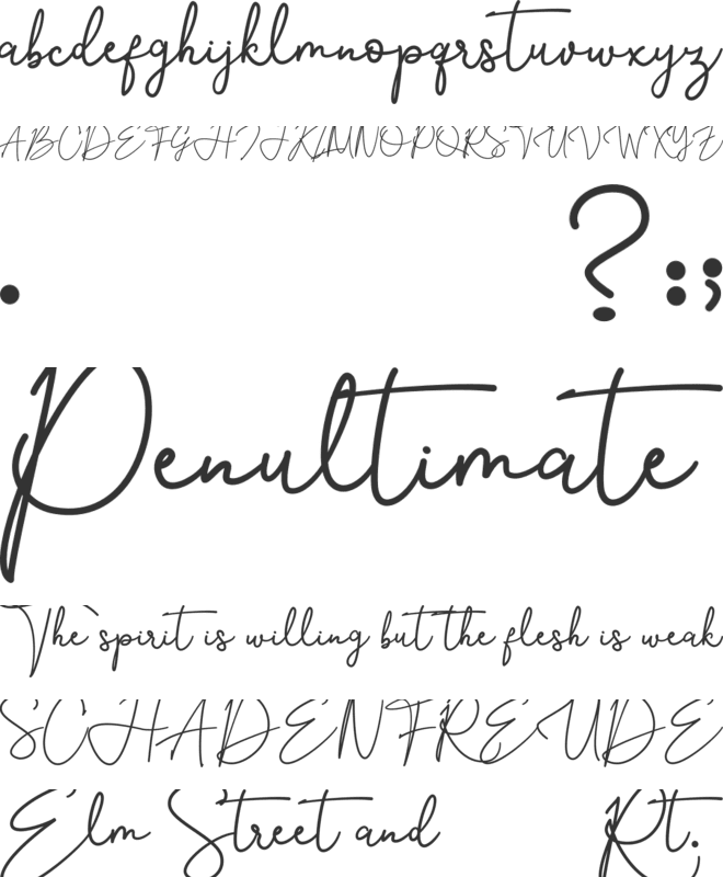 Southern Jannie font preview