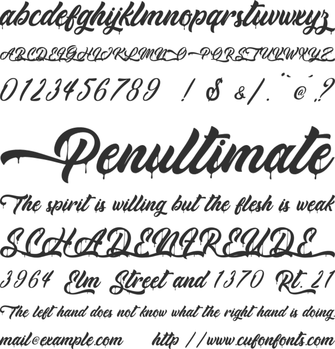 Monkey Act - Personal Use font preview
