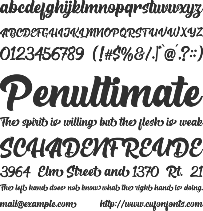 The Rughton Script font preview