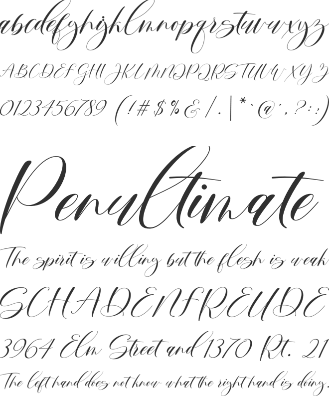 Mortyni font preview