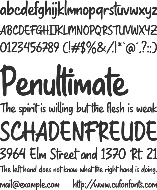 Bray Notes font preview