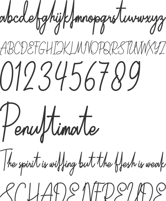 Olimpo font preview