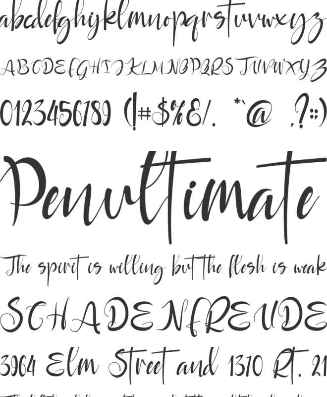Rayya font preview