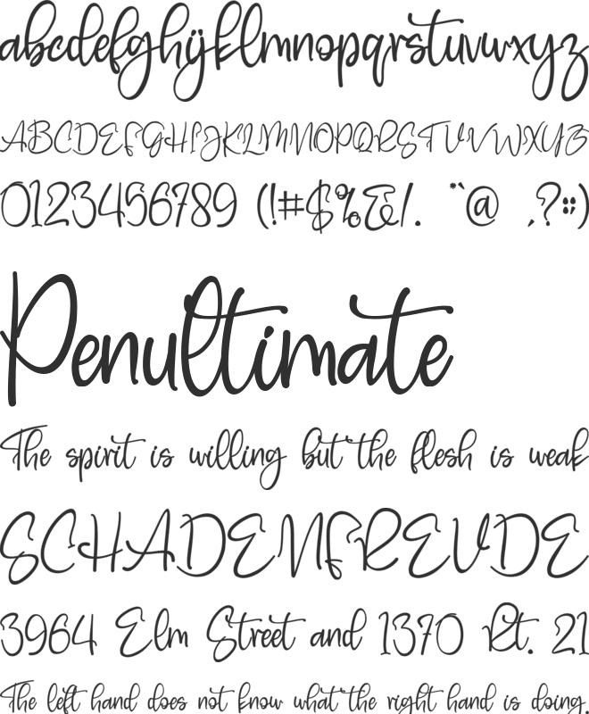 Bluebell font preview