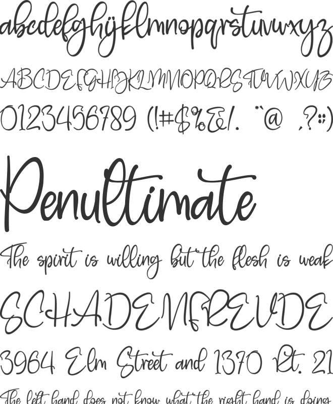 Bluebell font preview