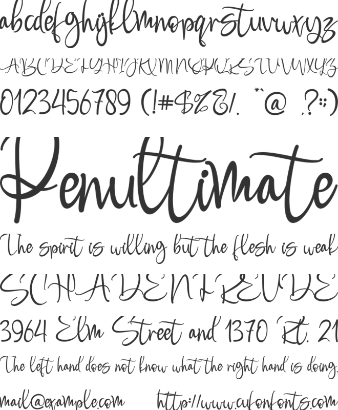 Boomolla font preview