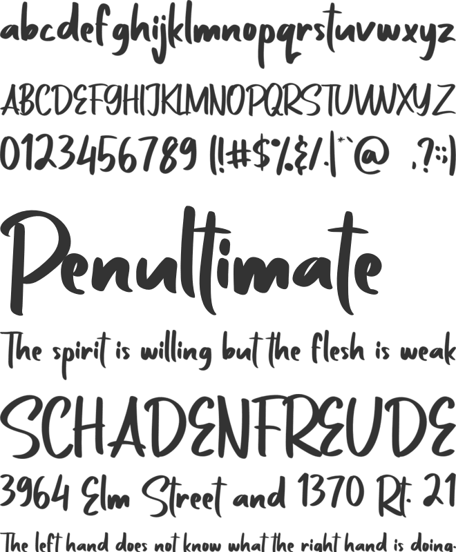 Zaitun font preview