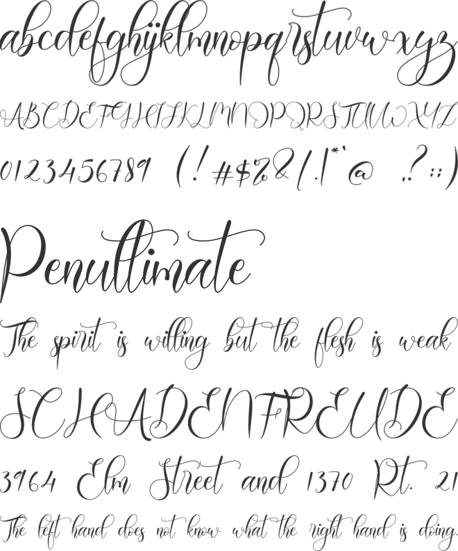 Richgole font preview
