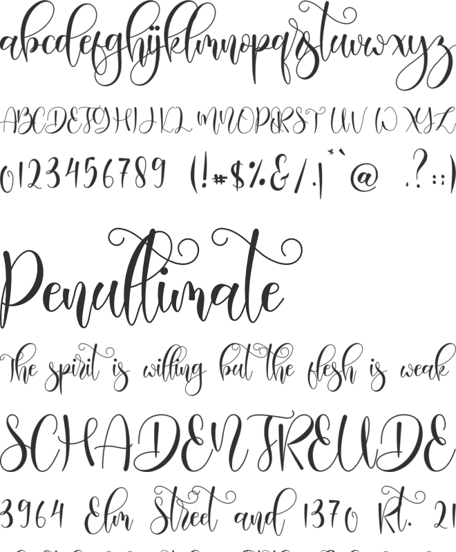 Haisley font preview
