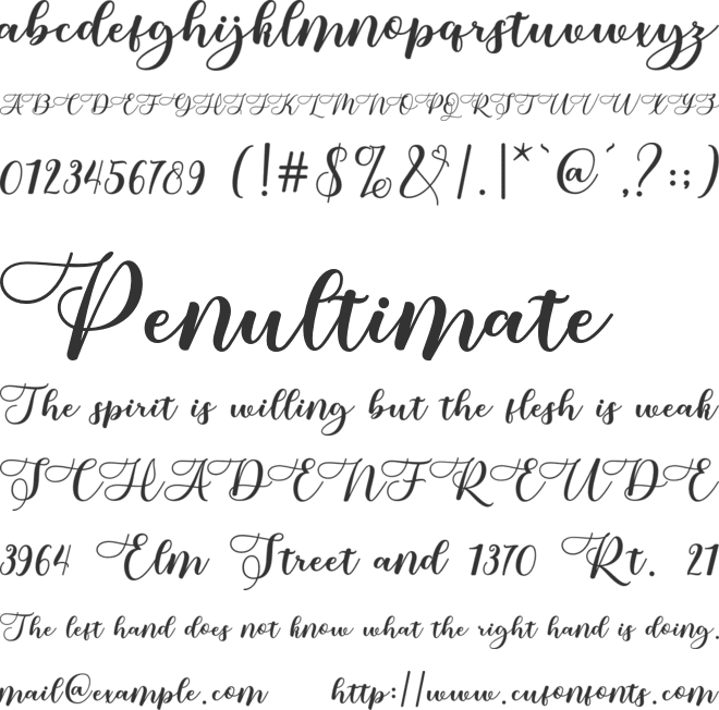 sellita font preview
