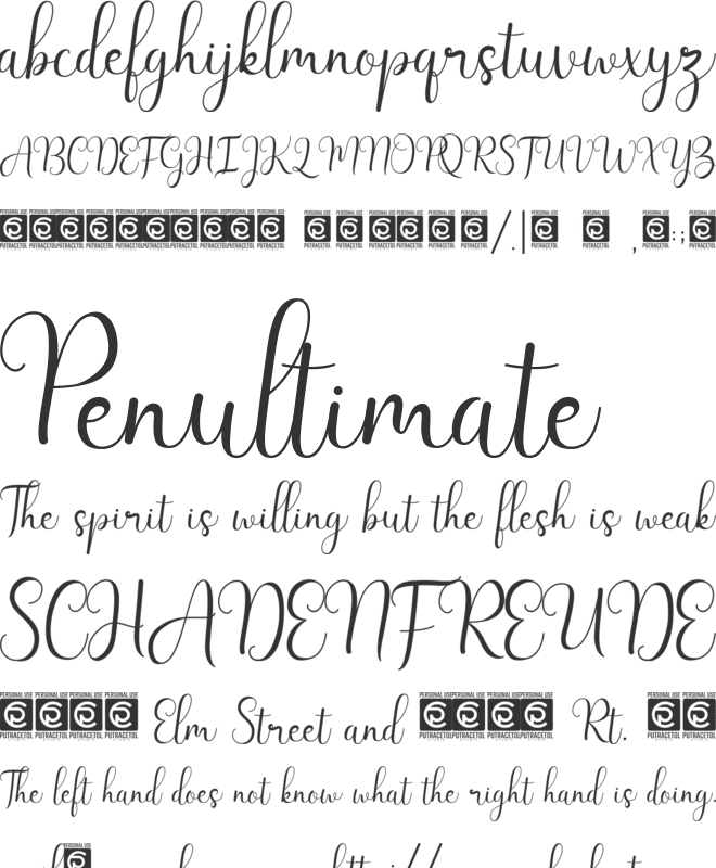 Latisha font preview