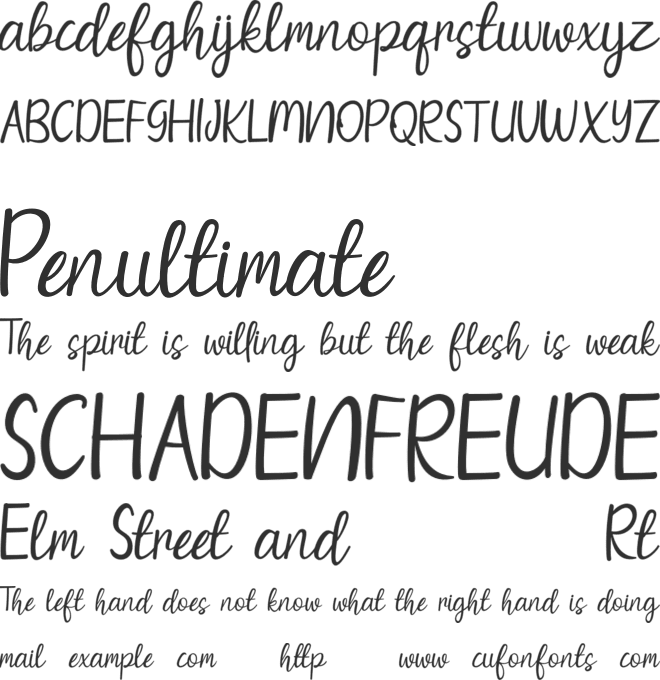 salthing font preview