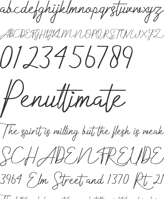 Sallmira font preview