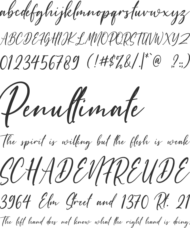 Shettricka font preview