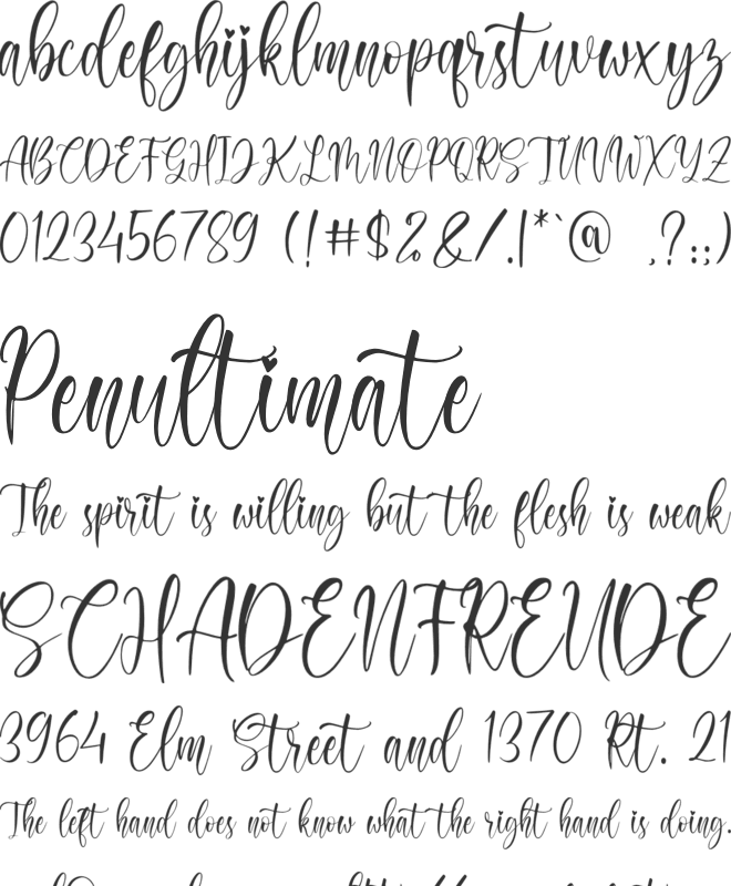 Clareta font preview