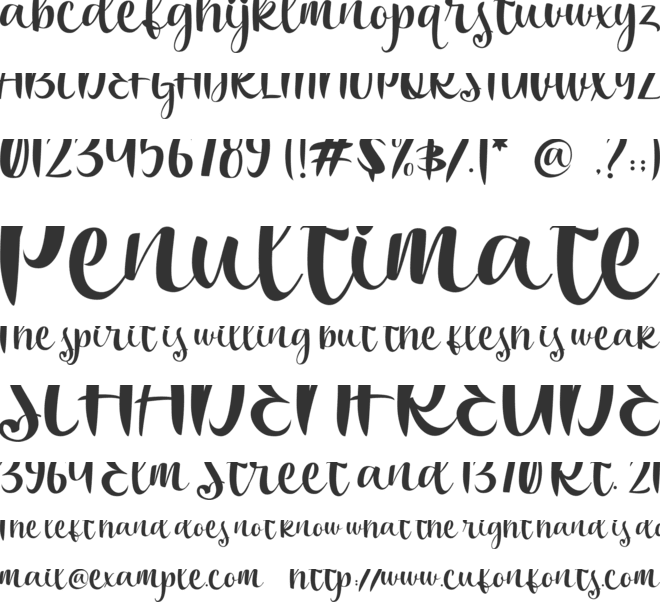 Bakira font preview