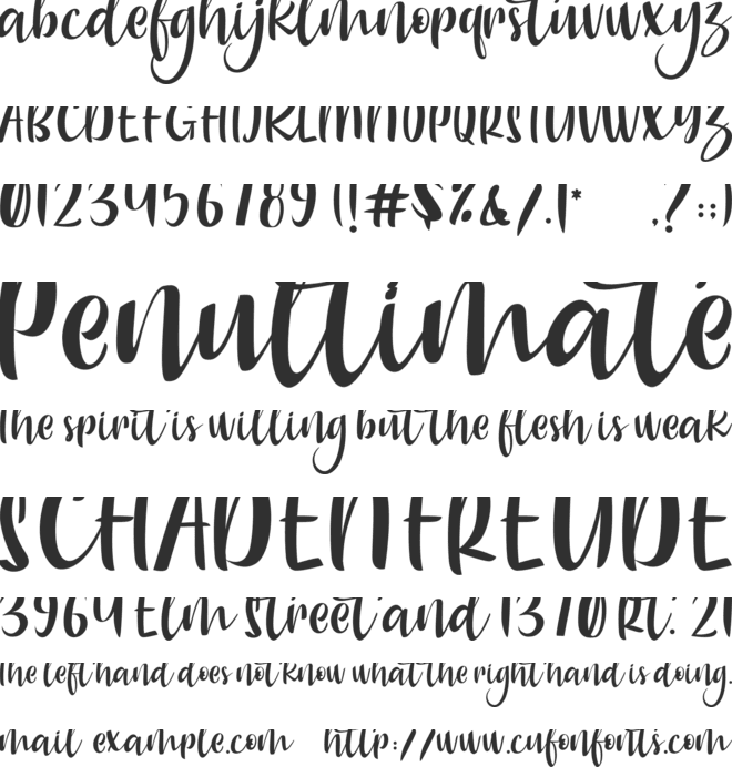 Charlotte Smoothy font preview