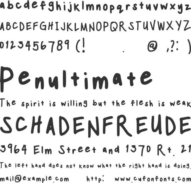 Ninas Font font preview