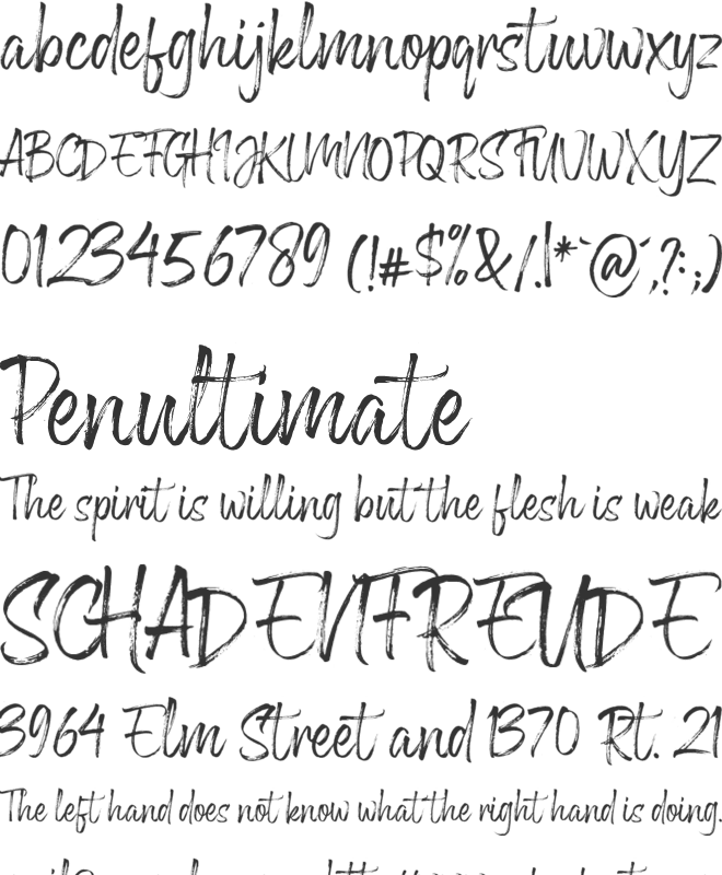 Greyfox font preview
