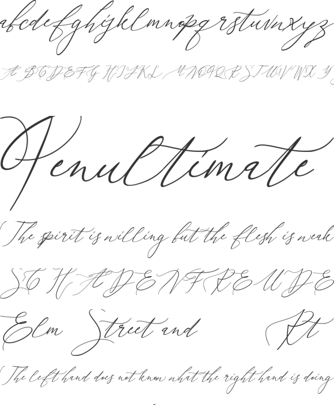 galgadot font preview