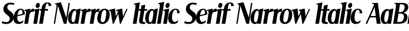 Serif Narrow Italic Serif Narrow Italic font