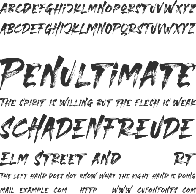 THE STRANGER FONT DUO font preview