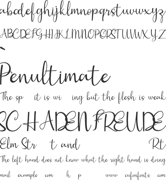 gisella font preview