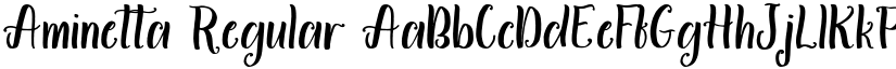 Aminetta Regular font