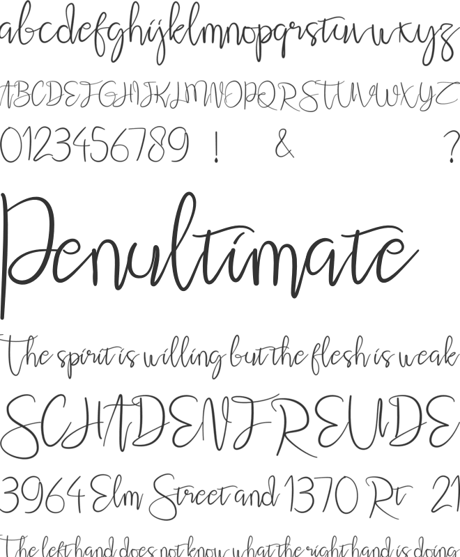 Ninella font preview