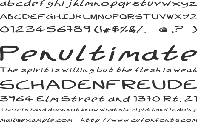Wide Boy font preview