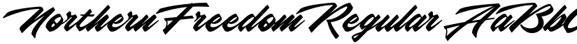 Northern Freedom Regular font