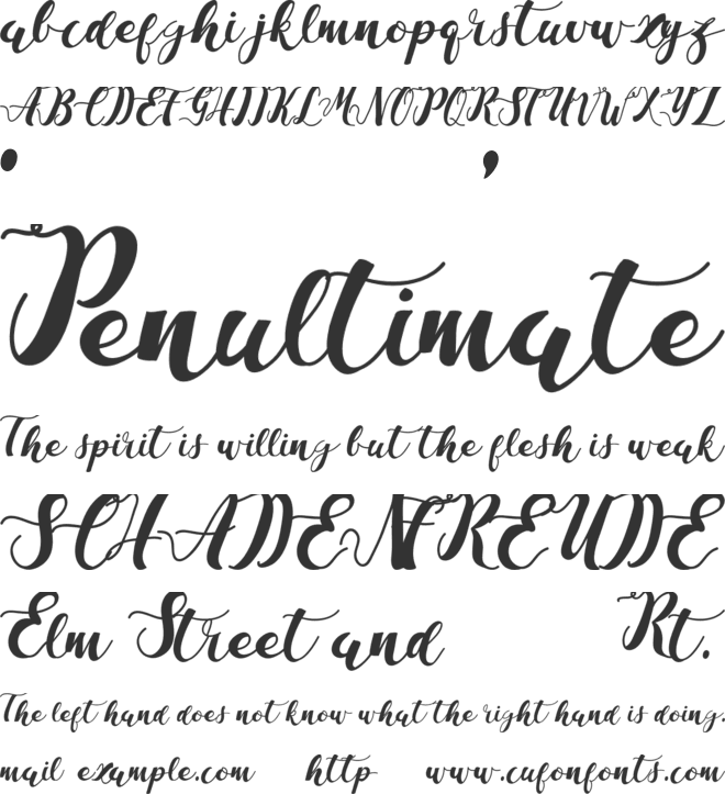 La Vi En Rose font preview