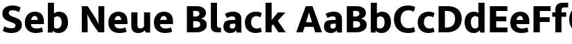 Seb Neue Black font