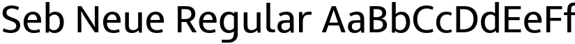Seb Neue Regular font