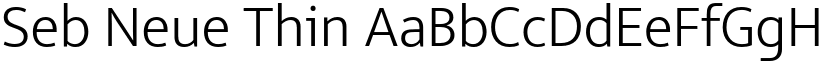 Seb Neue Thin font