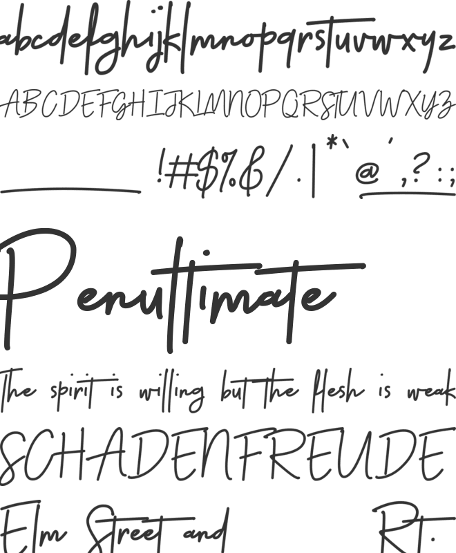 Thunderlightning Script Persona font preview