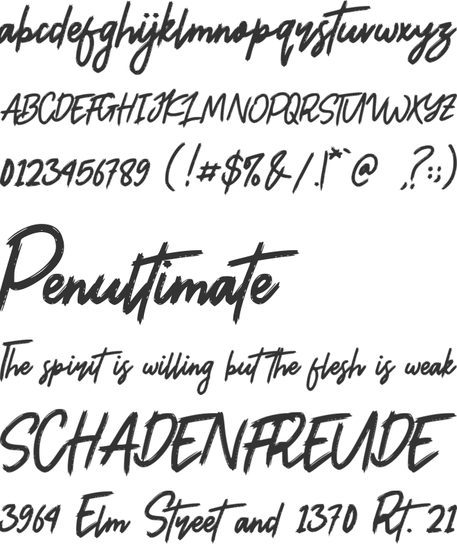 Patricia Safari font preview