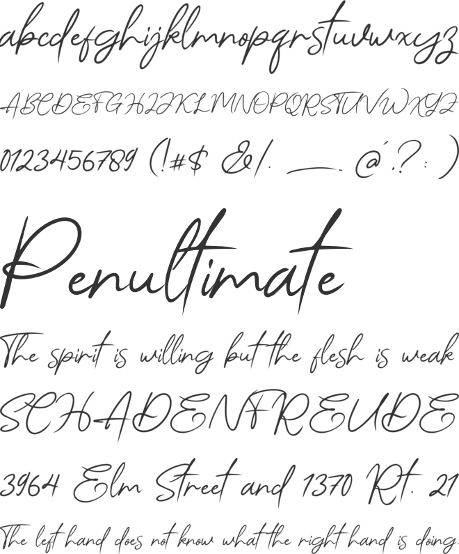 Angello font preview