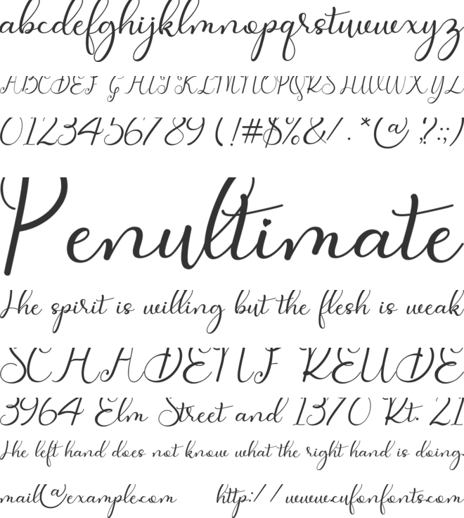 Faletina font preview