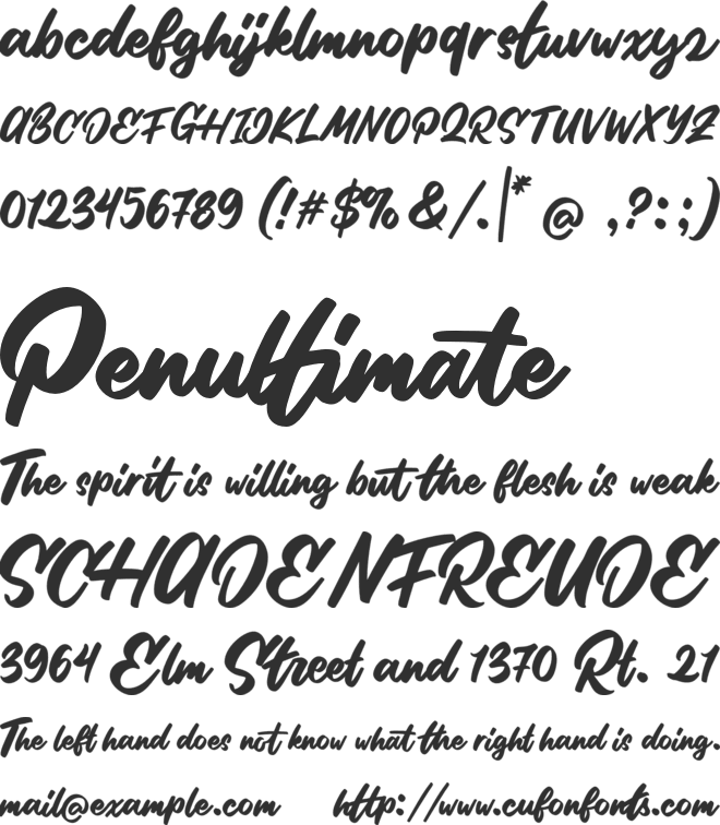 Stilda Script font preview