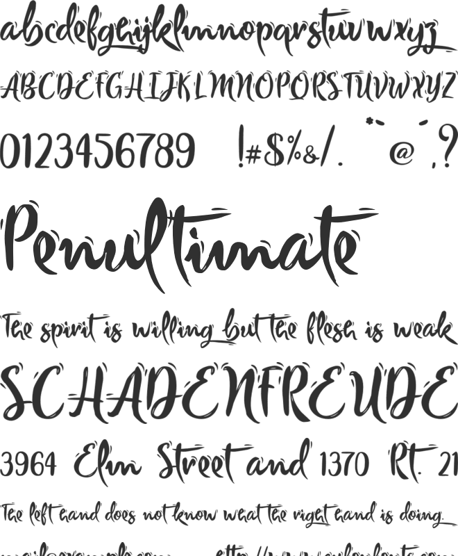 Ivory Chill - Personal Use font preview