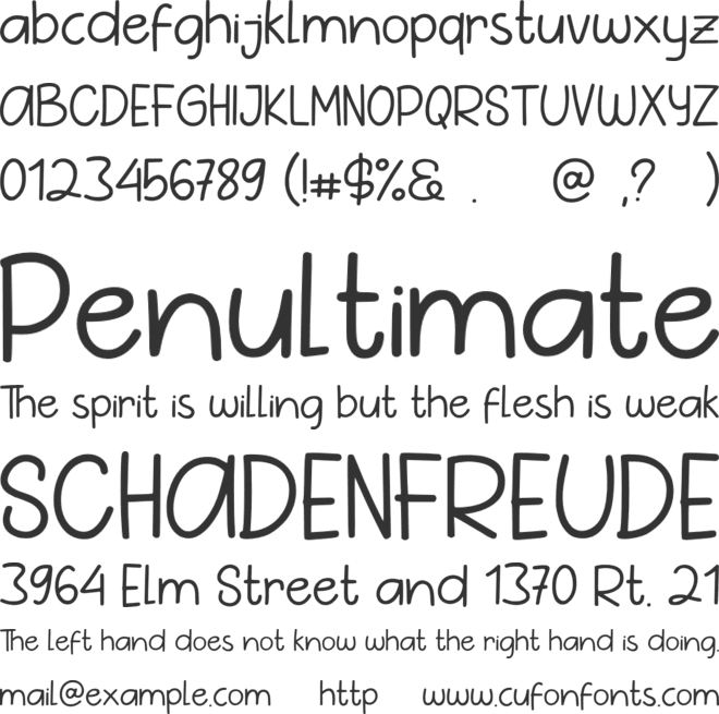 Pig Year Sans font preview