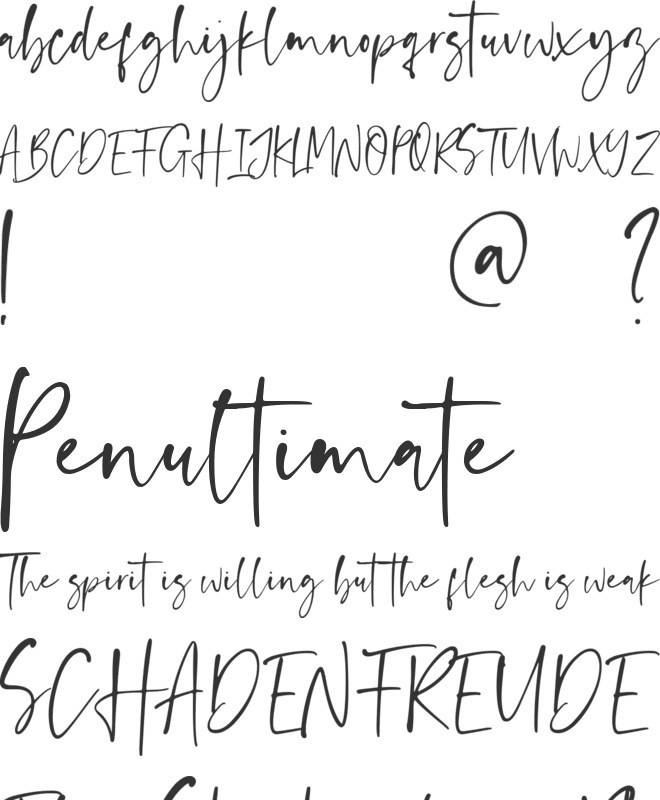 Anastacy font preview