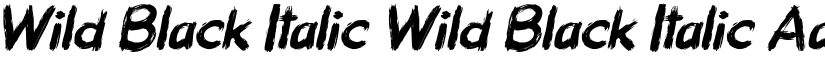 Wild Black Italic Wild Black Italic font