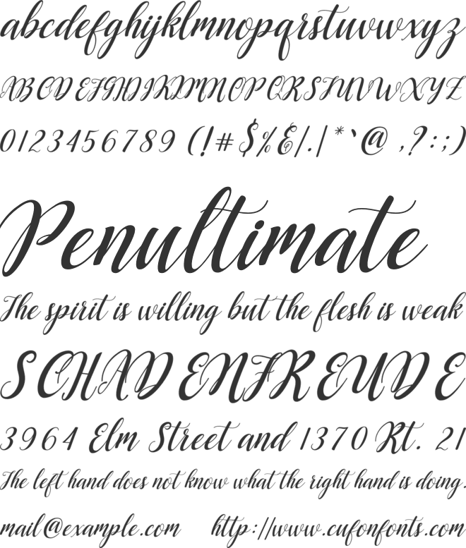 Aleria Script font preview