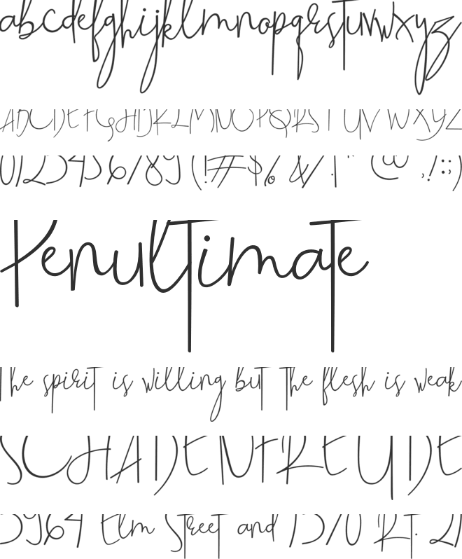 Beatrix Signature font preview