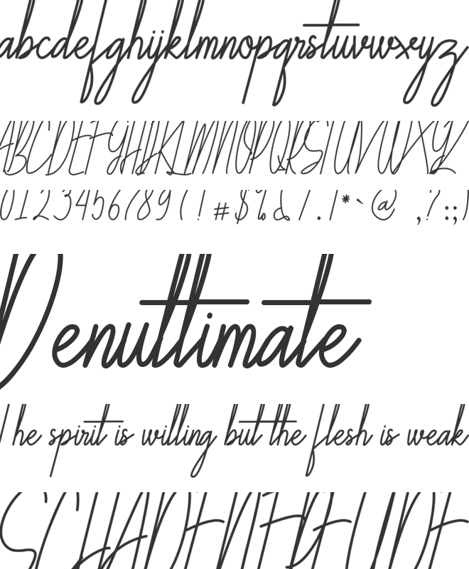 Galliyani font preview